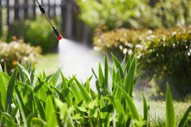 Tamper-Resistant Bait Stations for Rodents in West Lawn