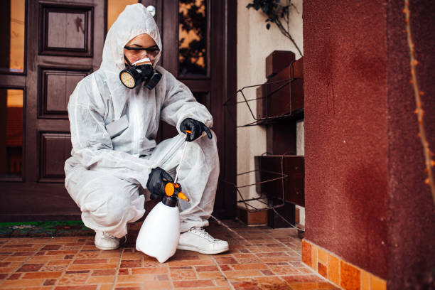 Attic and Crawl Space Rodent Treatment in West Lawn